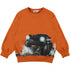 Sudadera Monster Truck