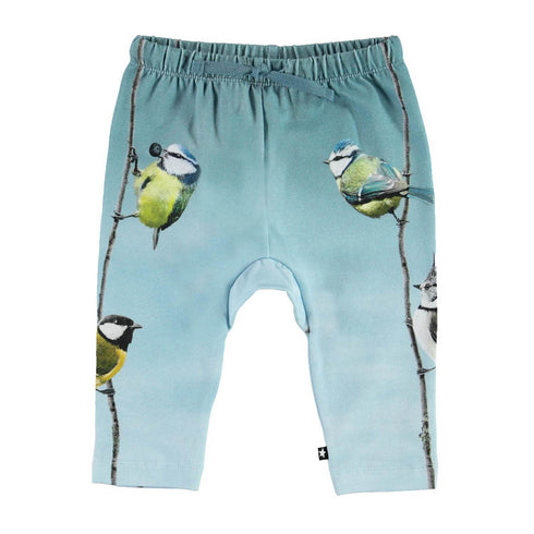 Conjunto Bird Friends