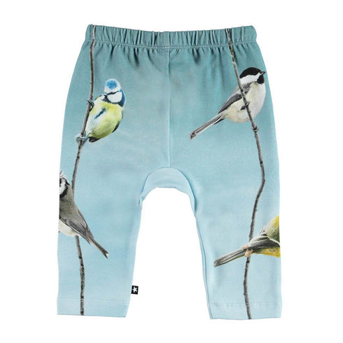 Conjunto Bird Friends