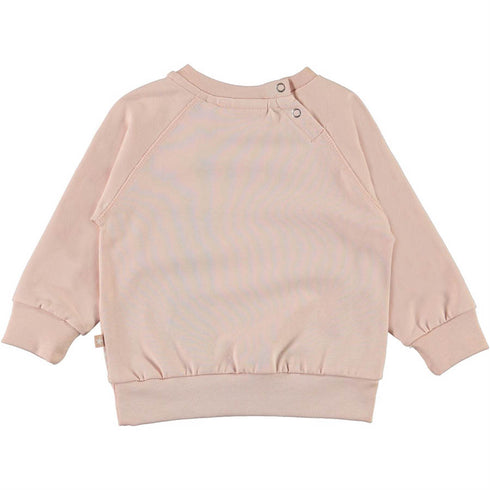 Conjunto Water Lily Rose