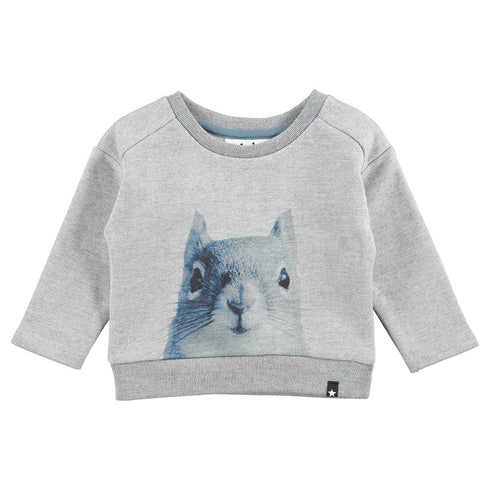 Sudadera Gray Squirrel