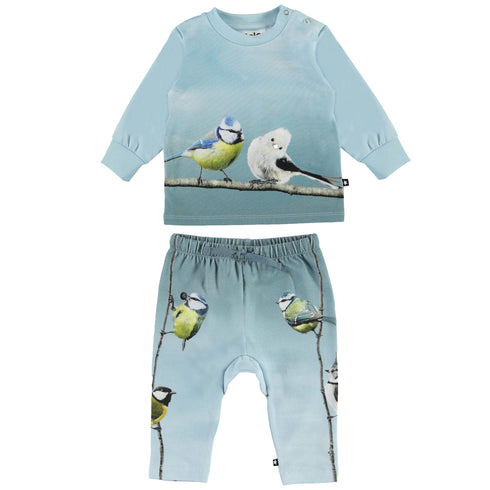 Conjunto Bird Friends