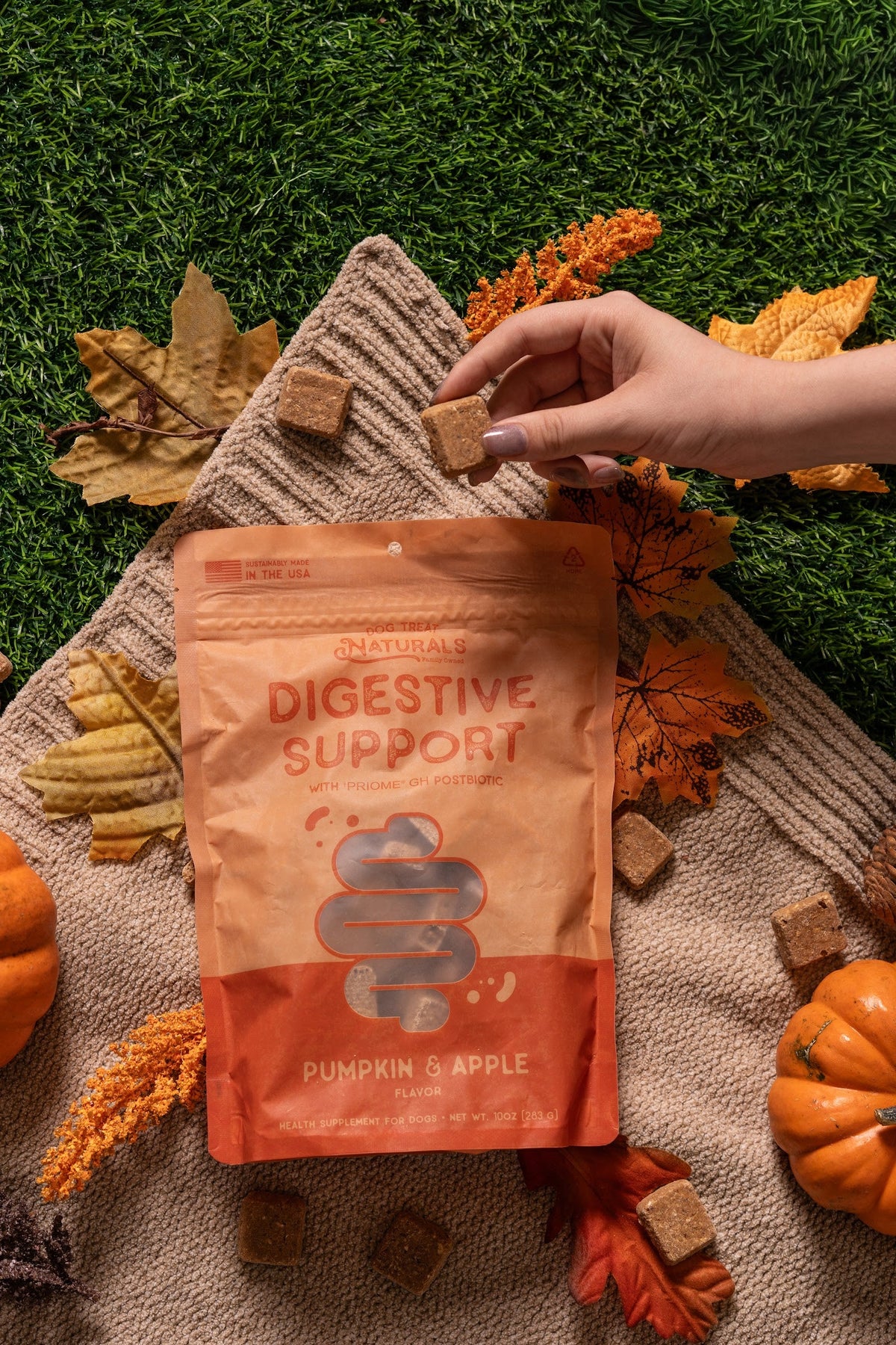 Dog Treat Naturals